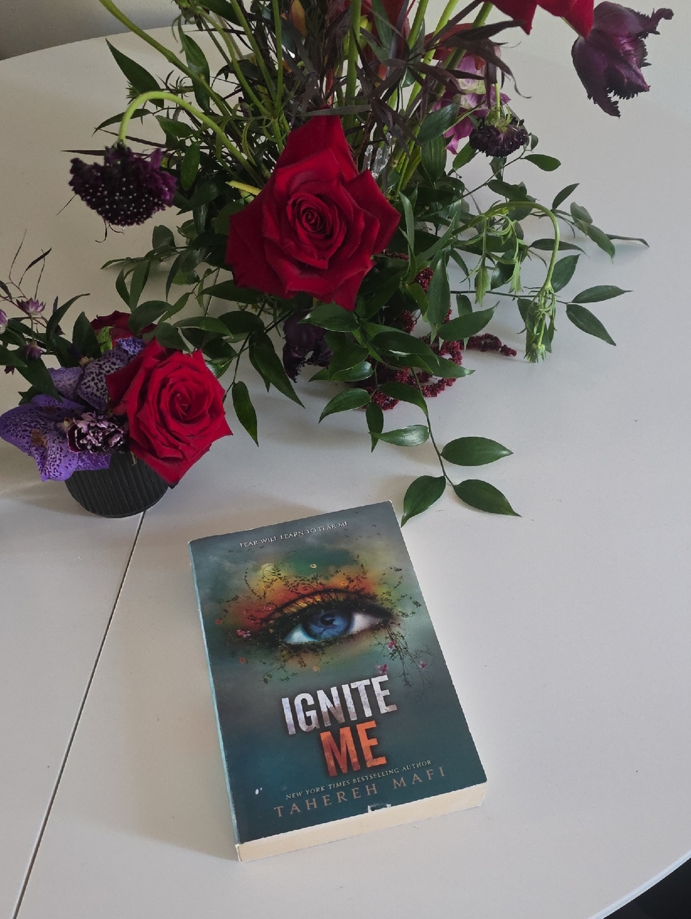 Ignite Me paperback book with colorful cover